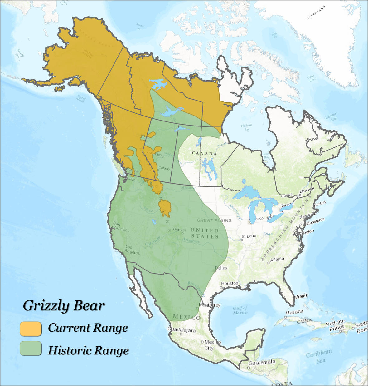 Timeline A History Of Grizzly Bear Recovery In The Lower 48